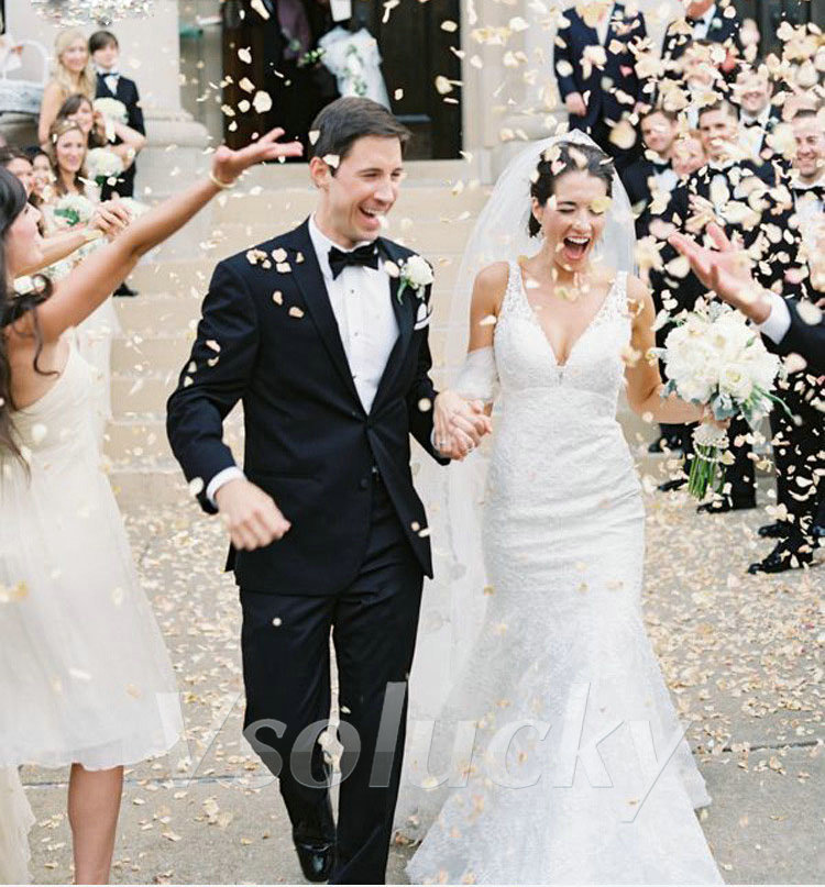 100 Chiếc Lụa Cánh Hoa Hồng Bà - đánh giá và giá Supply Wedding Venue
